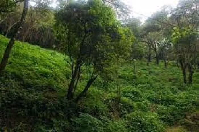 Terreno en Venta en Granja Buenos Aires - Imagen 4