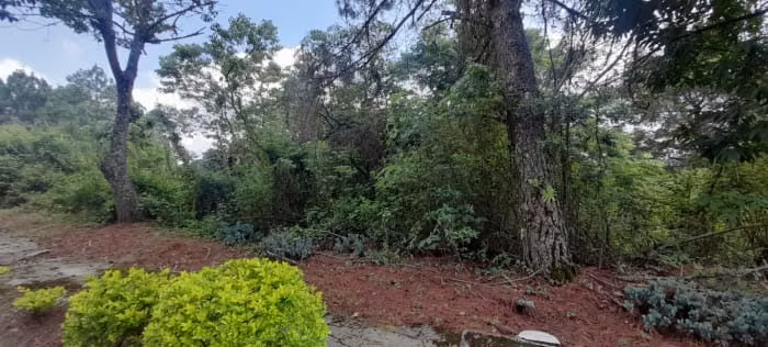 Terreno en Venta en Alta Vista Country Club - Imagen 2