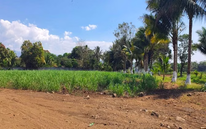 35 manzanas en Escuintla cerca de Asfalto uso industrial o residencial