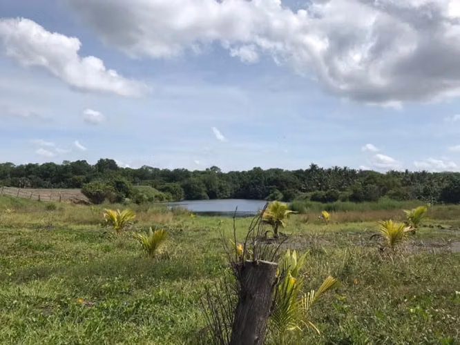 Venta de Terreno en Escuintla