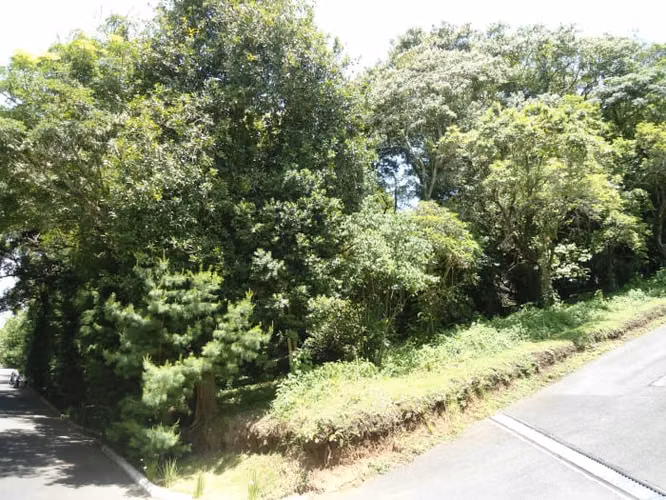 Terreno en Venta en San German de la Montaña Fraijanes - Imagen 2