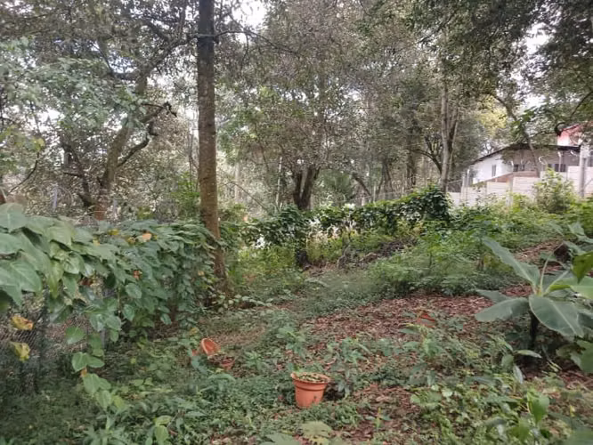 TERRENO EN VENTA EN SAN LUCAS SACATEPEQUEZ