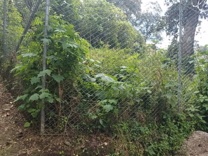 TERRENO EN VENTA EN SAN LUCAS SACATEPEQUEZ