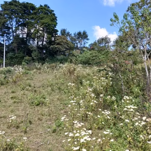 Terreno residencial en venta en Vistas de Versalles I - Imagen 3