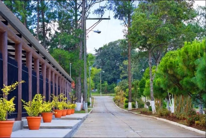 Terreno tipo Granja en Venta Praderas del Bambú - Imagen 3