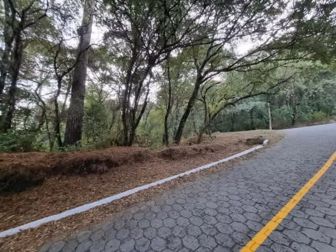 Terreno en Venta en El Encinal, Zona 7 de Mixco - Imagen 4