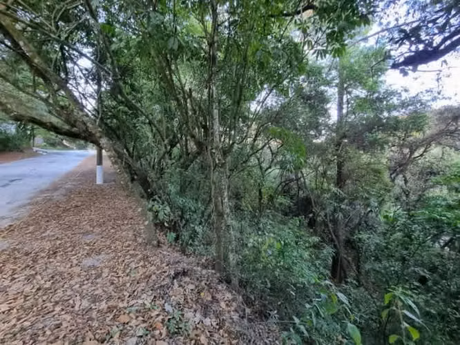 Terreno en Venta en El Encinal, Zona 7 de Mixco - Imagen 7