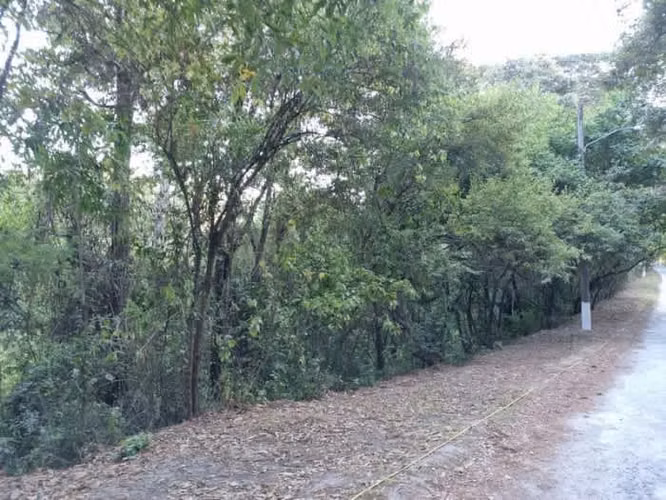 Terreno en Venta en El Encinal, Zona 7 de Mixco - Imagen 10