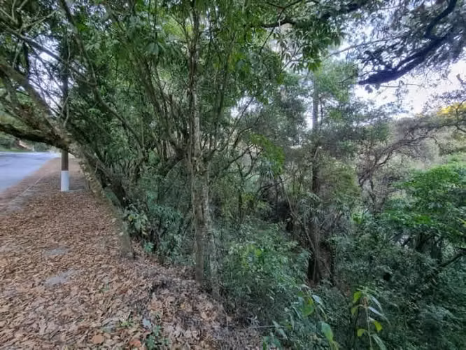 Terreno en Venta en El Encinal, Zona 7 de Mixco - Imagen 18