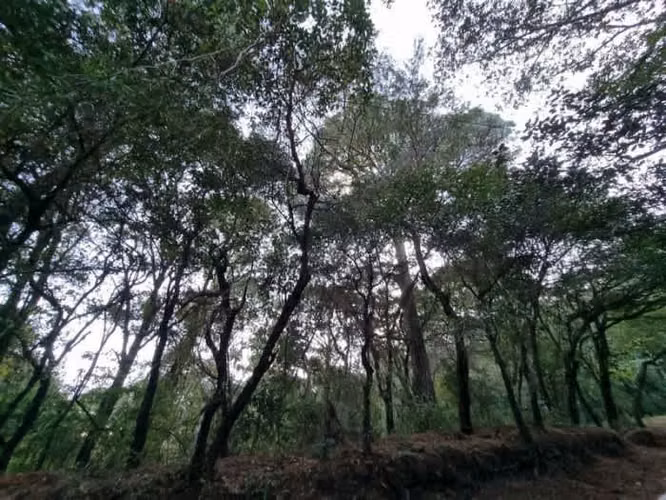 Terreno en Venta en El Encinal, Zona 7 de Mixco - Imagen 11