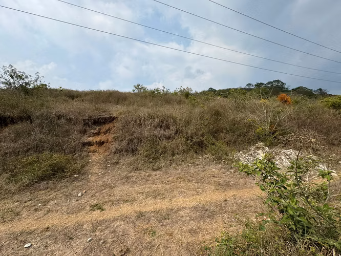 Terreno en venta en entrada a Olmeca, dirección a Pavon, lo de Dieguez - Imagen 4