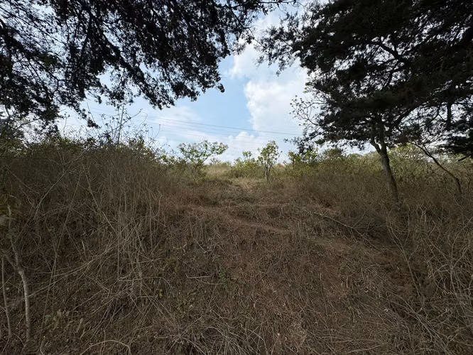 Terreno en venta en entrada a Olmeca, dirección a Pavon, lo de Dieguez - Imagen 8