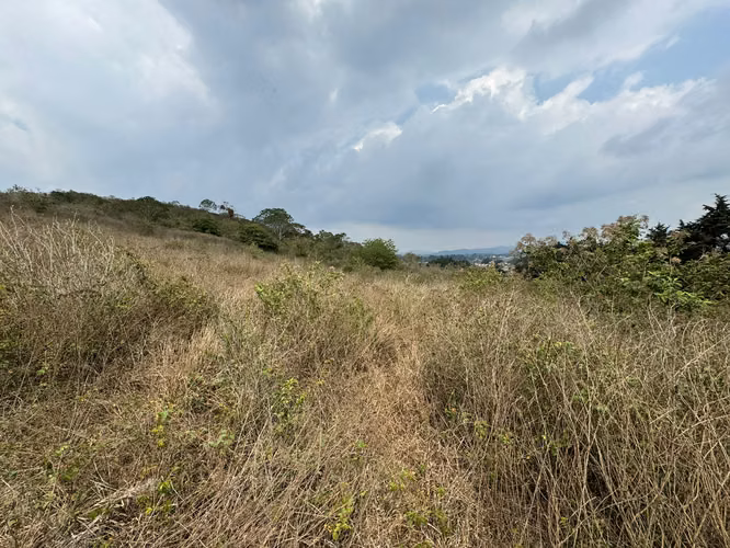 Terreno en venta en entrada a Olmeca, dirección a Pavon, lo de Dieguez - Imagen 5