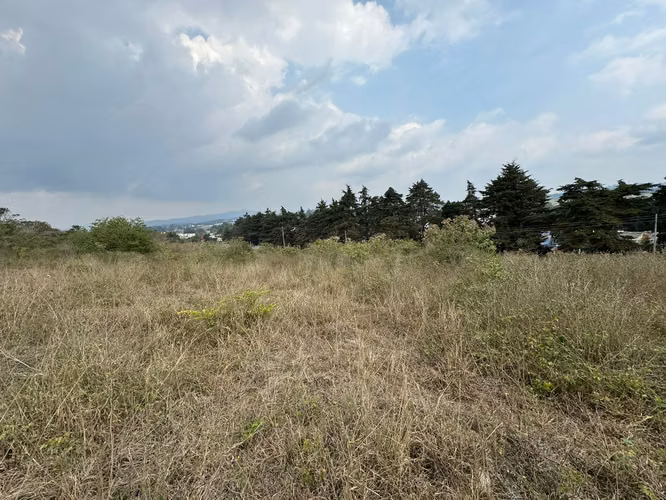 Terreno en venta en entrada a Olmeca, dirección a Pavon, lo de Dieguez - Imagen 7