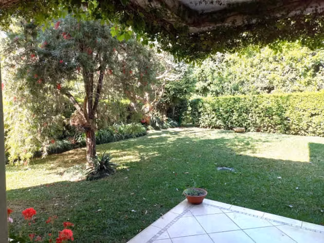 Apartamento en Venta y Alquiler - Portal del Bosque III