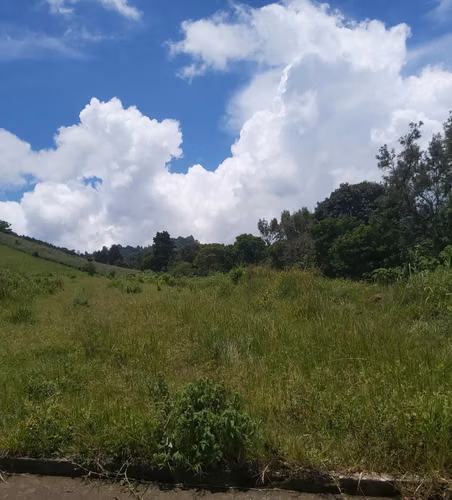 Vendo dos manzanas de terreno plano Santa Elena Barillas - Imagen 2