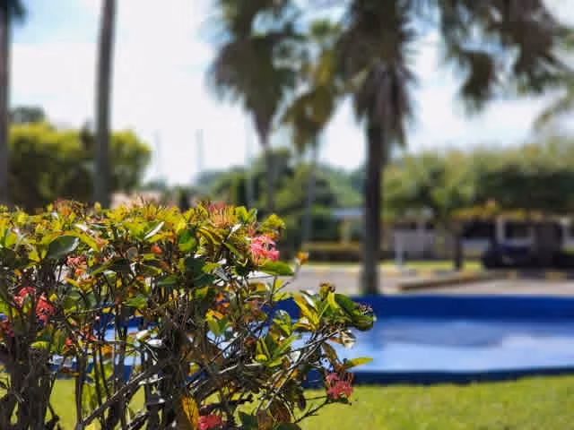 Terreno en Venta Escuintla, Lagunas de Torre Molinos