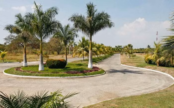 Lote en Venta Lagunas de Monterrico, Santa Rosa - Imagen 5