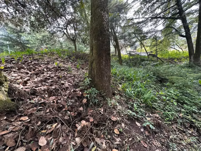 Terreno en Venta en Santa Lucia Milpas Altas - Imagen 10