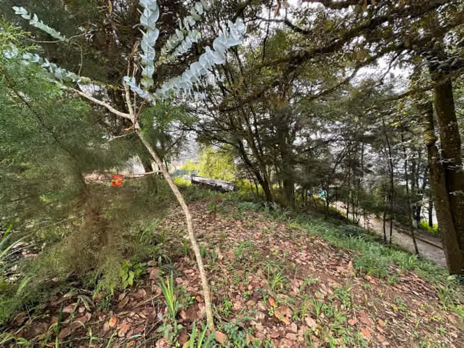 Terreno en Venta en Santa Lucia Milpas Altas - Imagen 2