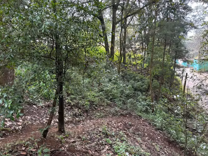 Terreno en Venta en Santa Lucia Milpas Altas - Imagen 14