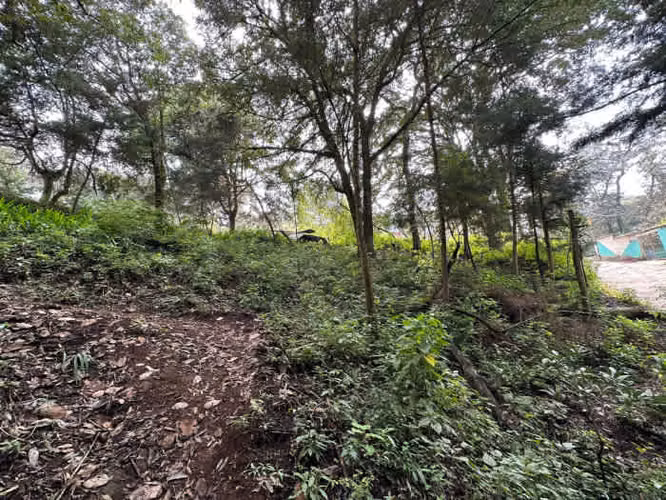 Terreno en Venta en Santa Lucia Milpas Altas - Imagen 11