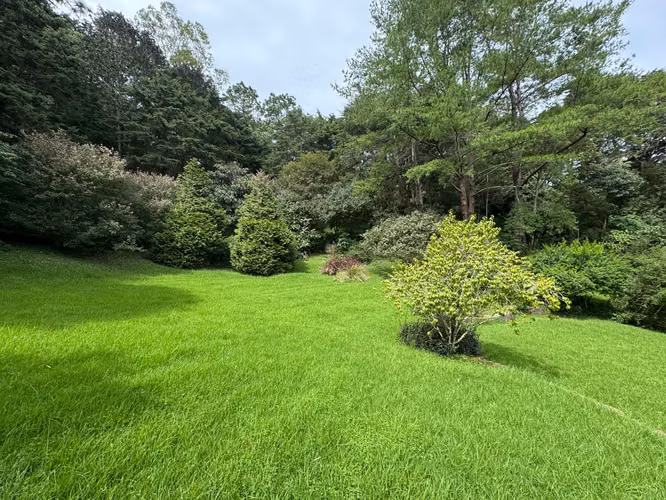 Casa con amplio terreno en renta, Carretera al Salvador. Linda propiedad con amplio terreno