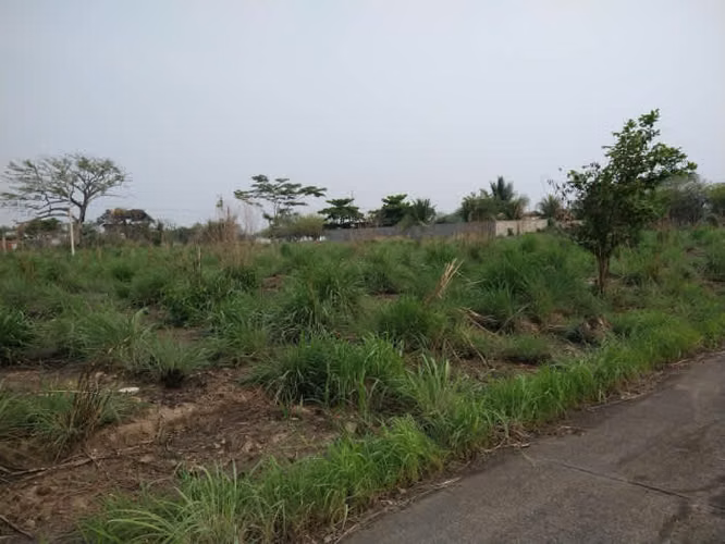 Terreno en Venta Quintas La Ponderosa, KM 77 - Imagen 3