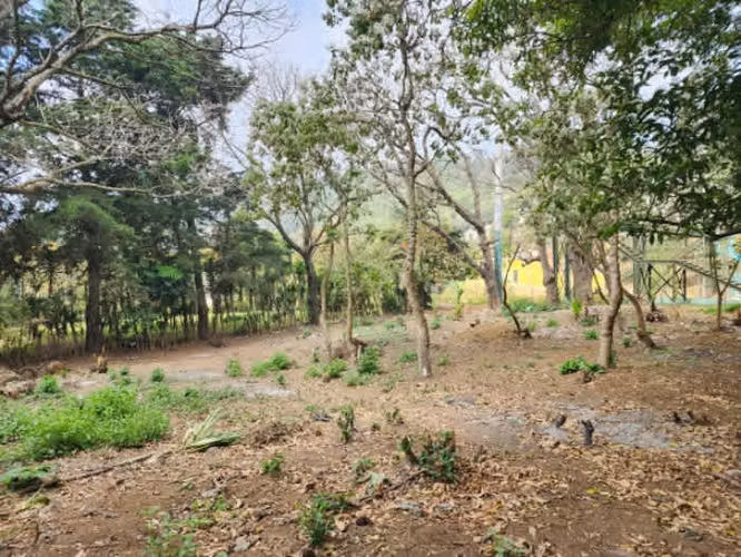 Terreno Comercial en Renta Ruta Interamericana Sn Lucas