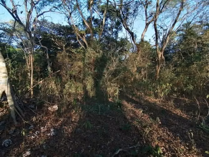 Terreno en Venta Quintas La Ponderosa - Imagen 2
