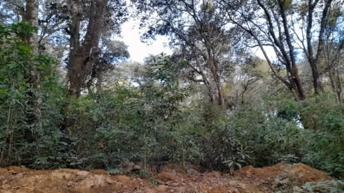 Terreno en Venta San Lucas Sacatepéquez, Guatemala - Imagen 9