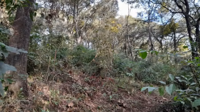 Terreno en Venta San Lucas Sacatepéquez, Guatemala - Imagen 11