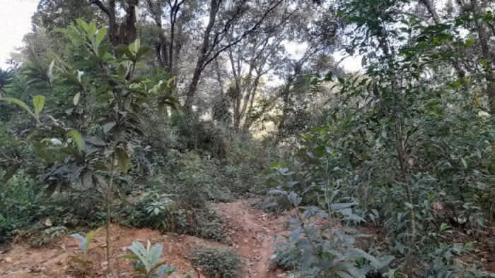 Terreno en Venta San Lucas Sacatepéquez, Guatemala - Imagen 8