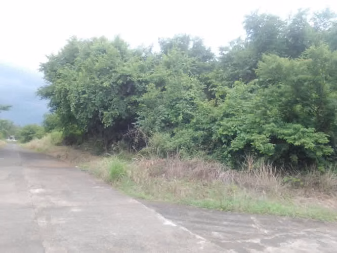 Terreno Grande en Venta Cataratas de Uxmel, Masagua - Imagen 2