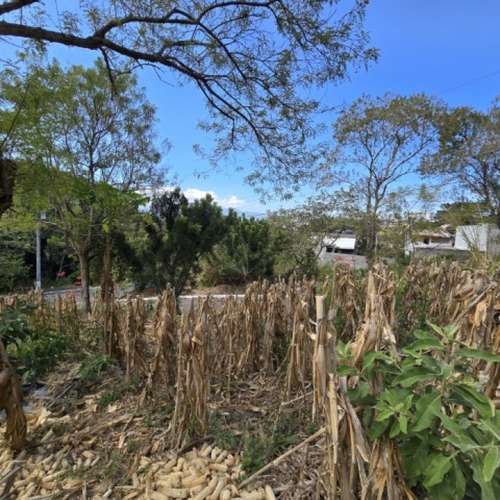 Terreno en Venta Santa Catarina Pinula, Guatemala - Imagen 5