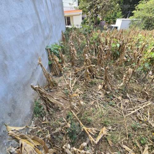 Terreno en Venta Santa Catarina Pinula, Guatemala - Imagen 6