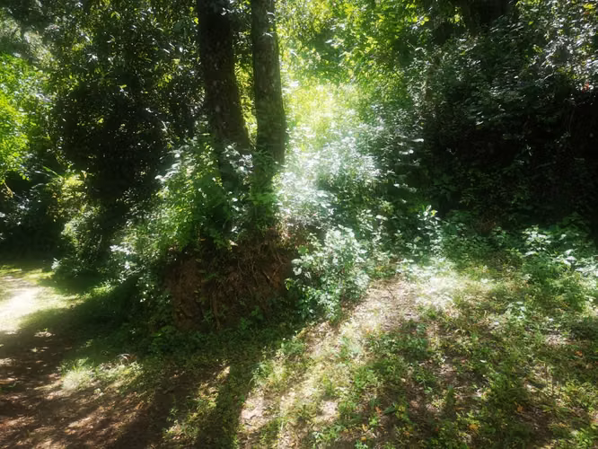 Terreno para desarrollo en El Encinal, Mixco