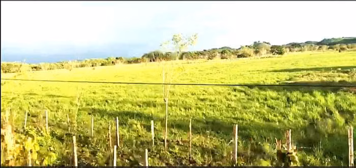 TERRENO EN VENTA EN PETEN