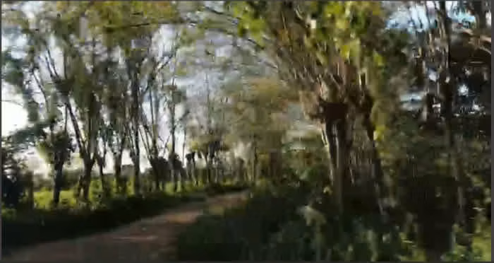 Terreno en Venta en La Libertad, Peten