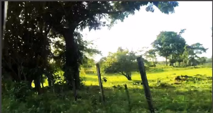 Terreno en Venta en La Libertad, Peten