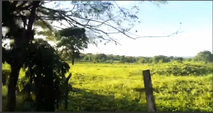 Terreno en Venta en La Libertad, Peten