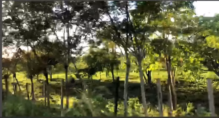 Terreno en Venta en La Libertad, Peten