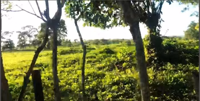 Terreno en Venta en La Libertad, Peten
