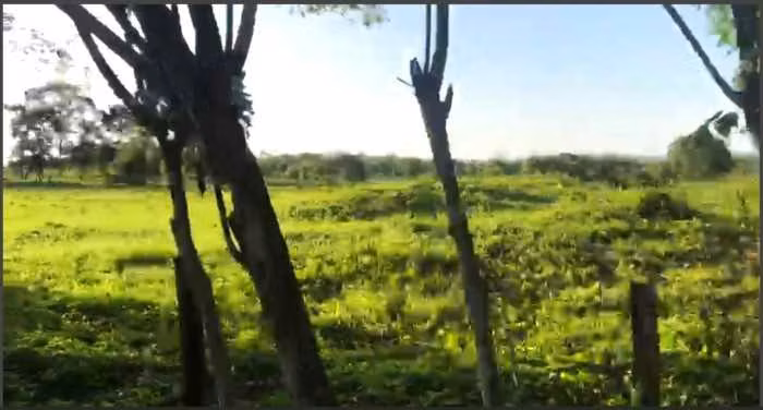 Terreno en Venta en La Libertad, Peten