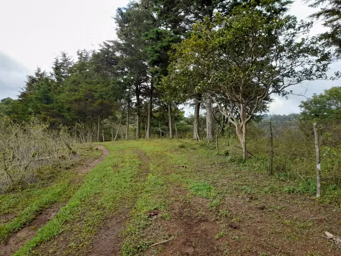 Venta de 8 manzanas de terreno | Lo de Diéguez, Fraijanes