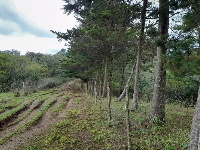 Venta de 8 manzanas de terreno | Lo de Diéguez, Fraijanes