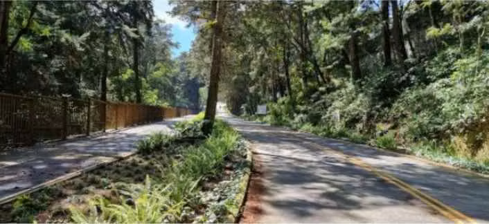 Venta de terreno en Condominio Arborea, Legado del Bosque | Zona 16 - Imagen 7