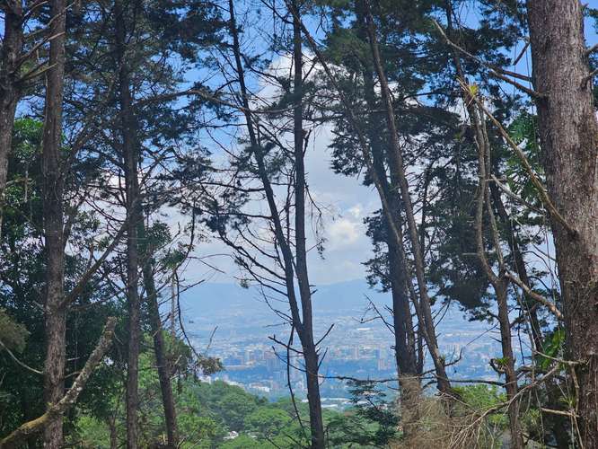 Venta de terreno en Condominio Evanora, Legado del Bosque | Zona 16 - Imagen 3