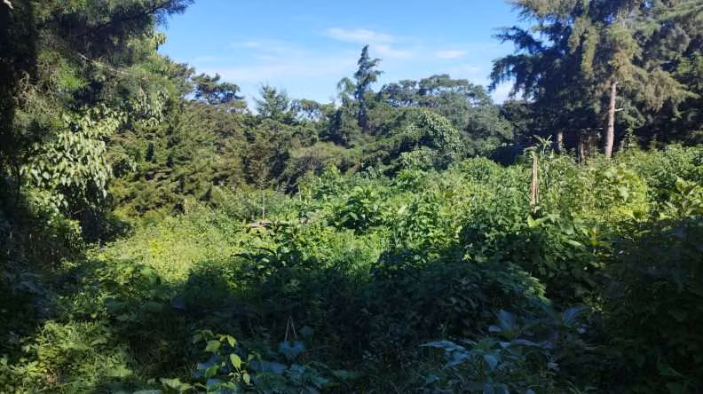 Venta de terreno Ideal para inversión en Puerta del Señor, Fraijanes