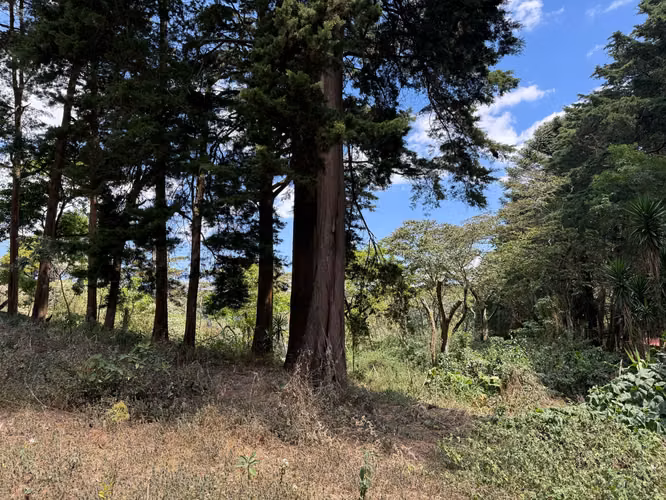 Terreno en venta en Fraijanes para desarrollo - Imagen 4